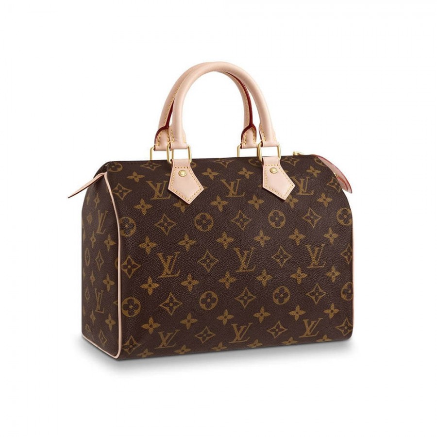 Louis Vuitton Monogramm Canvas Speedy 25 M41109