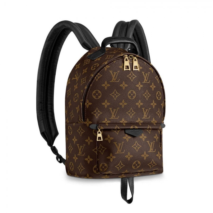 Louis Vuitton Monogram Canvas Palm Springs Rucksack PM M41560