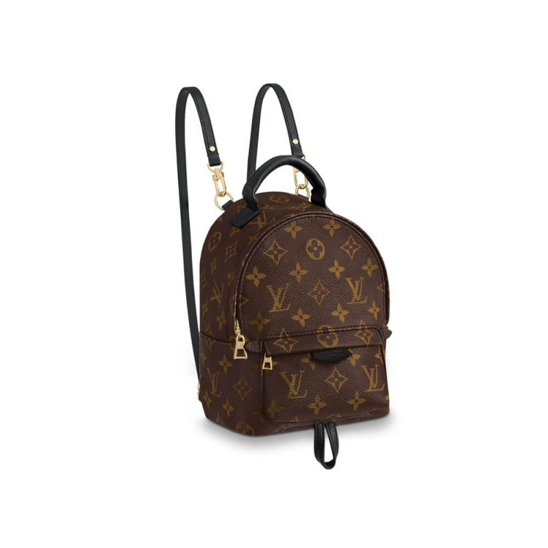 Louis Vuitton Monogramm Canvas Palm Springs Rucksack Mini M41562