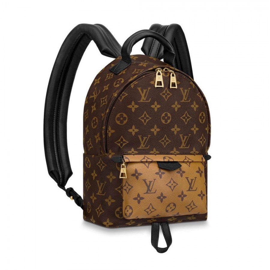 Louis Vuitton Monogramm Leinwand Palm Springs Rucksack PM M43116